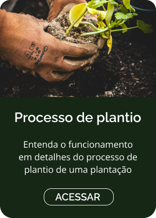 Processo de plantio